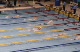 200 IM-Japan...Lane4